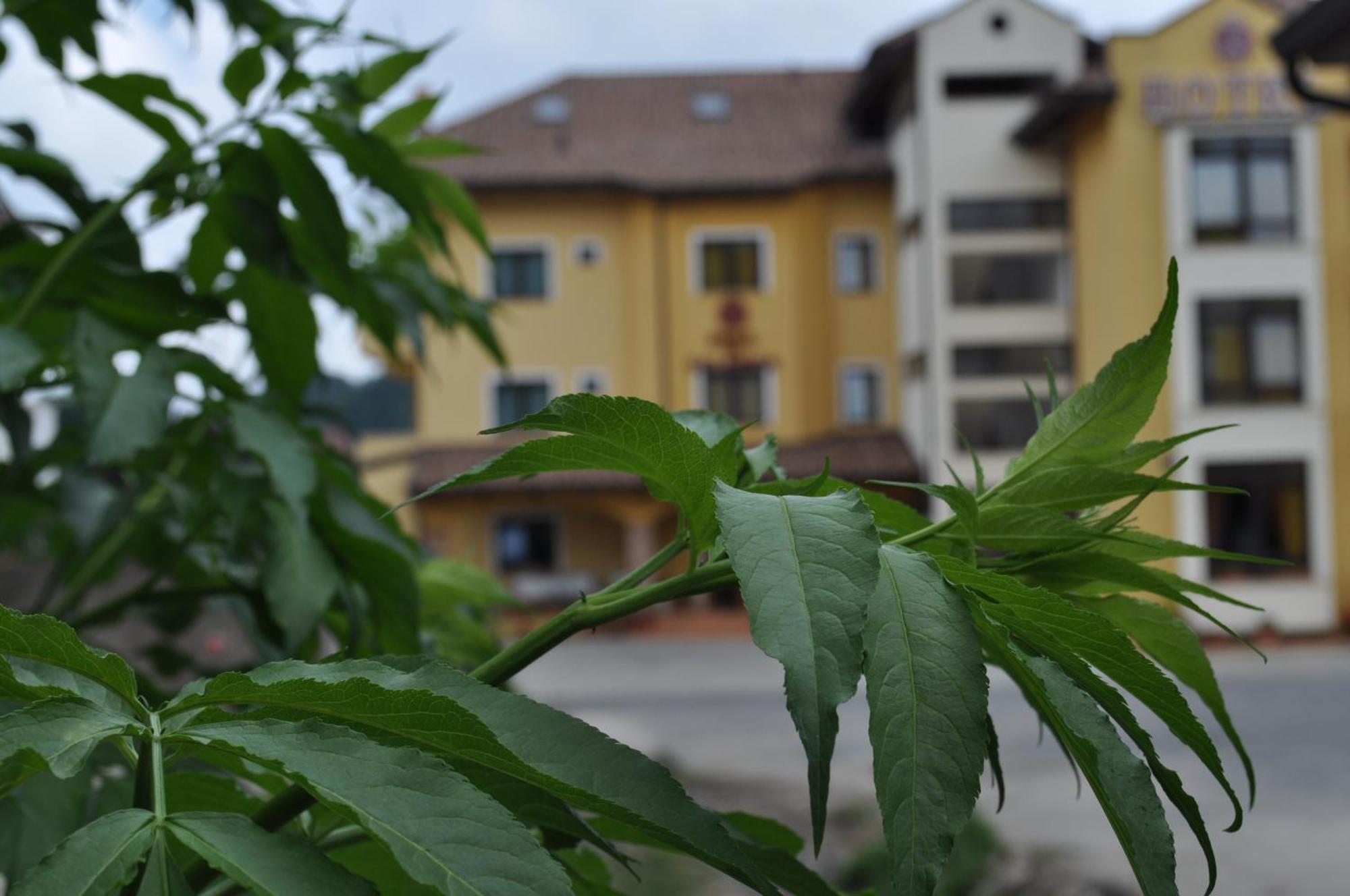 Hotel Duca Di Calabria Serra San Bruno Dış mekan fotoğraf
